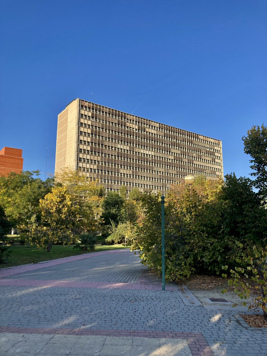 cansADA 🌞 tweet media