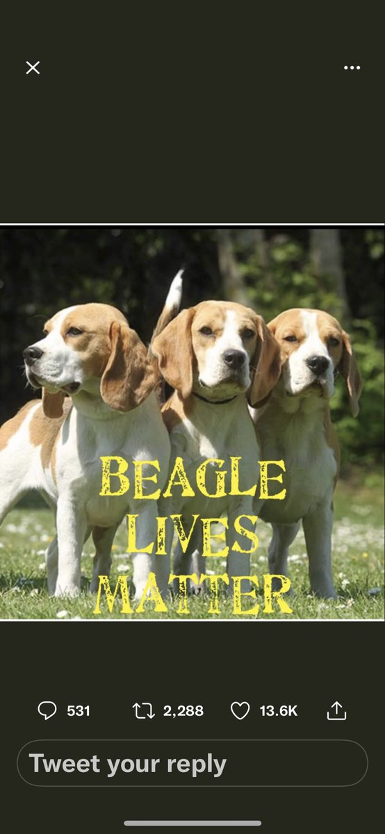 Patricia Purks (@sprintcarmom) on Twitter photo 