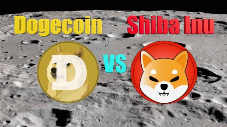 JavedMiyandad's tweet photo. @elonmusk do we get to see @dogecoin vs @Shibtoken any time soon.... will doge shoot To the moon.. or shiba will be called doge killer coin... @cz_binance @coinbase @BitcoinMagazine @NischalShetty @CoinDCX @Nikhil_singlaa guys what your say on this battle of dogs.. https://t.co/IRTxfvaVmy