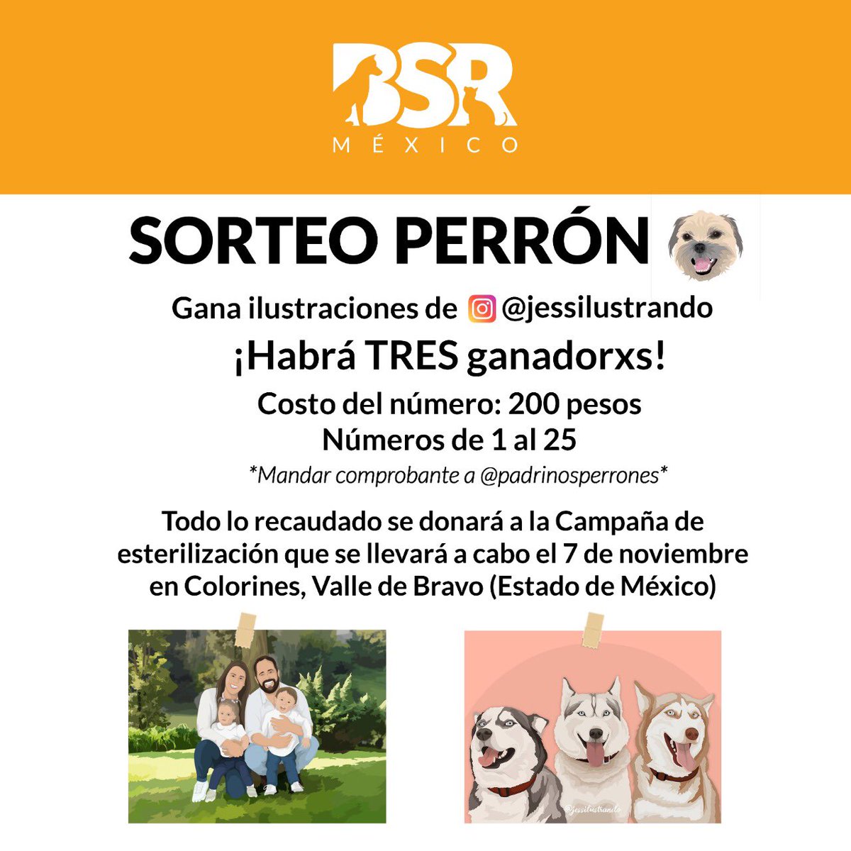 Brigada Sin Raza tweet media