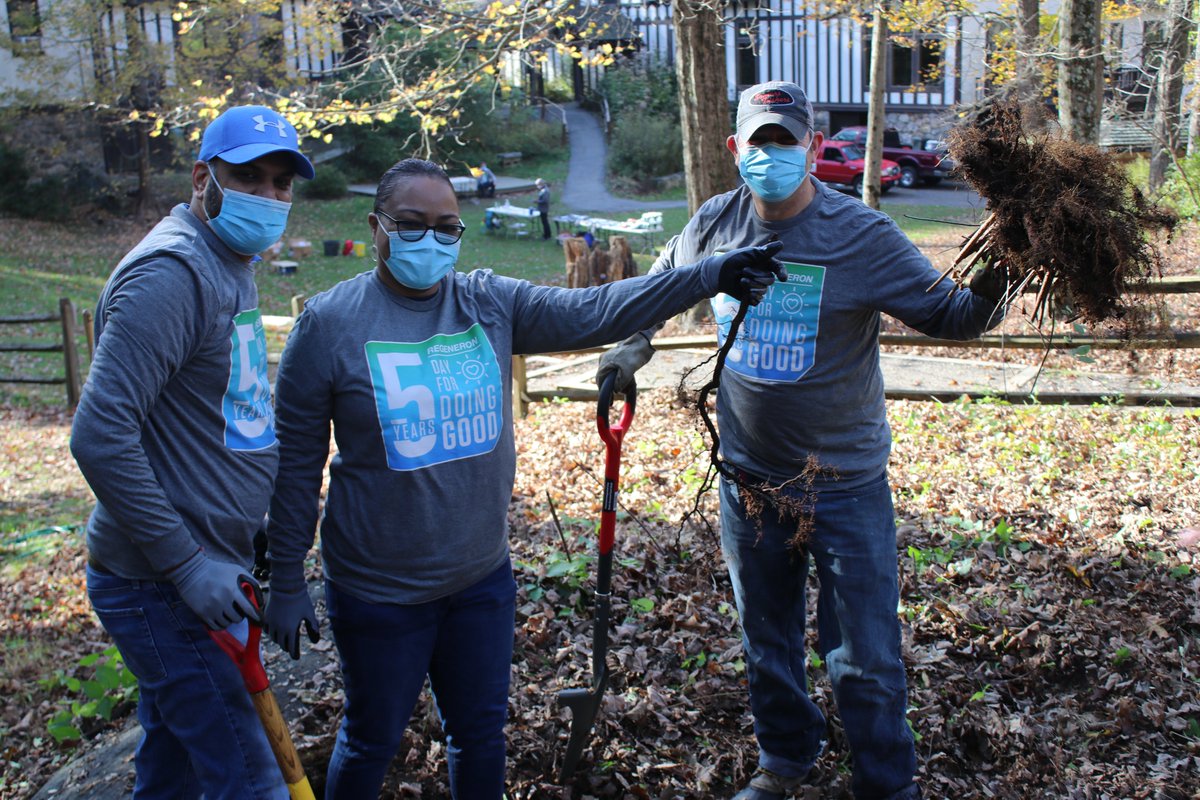 Teatown was thrilled to recently host Regeneron again for their annual Day for Doing Good! Their staff helped clear invasive plants by our Raptor Loop, add gravel to the mews to improve drainage, and plant nearly 1,000 native groundcover plants along the Three Lakes Trail.