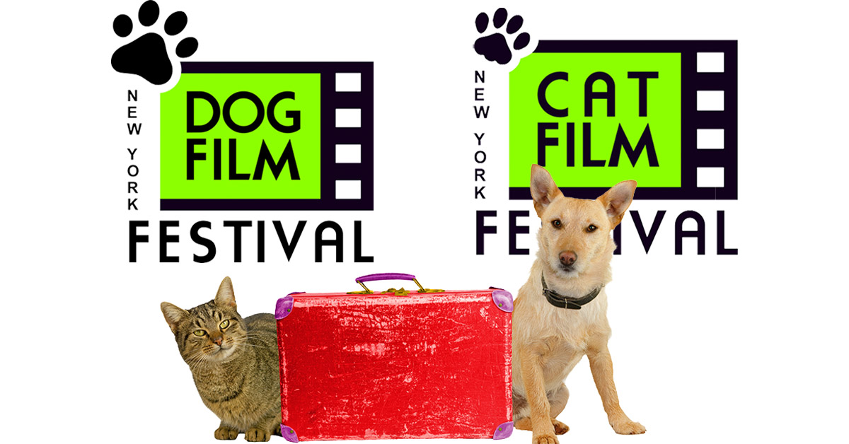 The NY Dog and Cat Film Festivals are hitting the road and coming to a theater near you. Experience it in person!
Dates and Destinations:
Dog Film Festival: dogfilmfestival.com/destinations-2
Cat Film Festival: catfilmfestival.com/destinations-i…