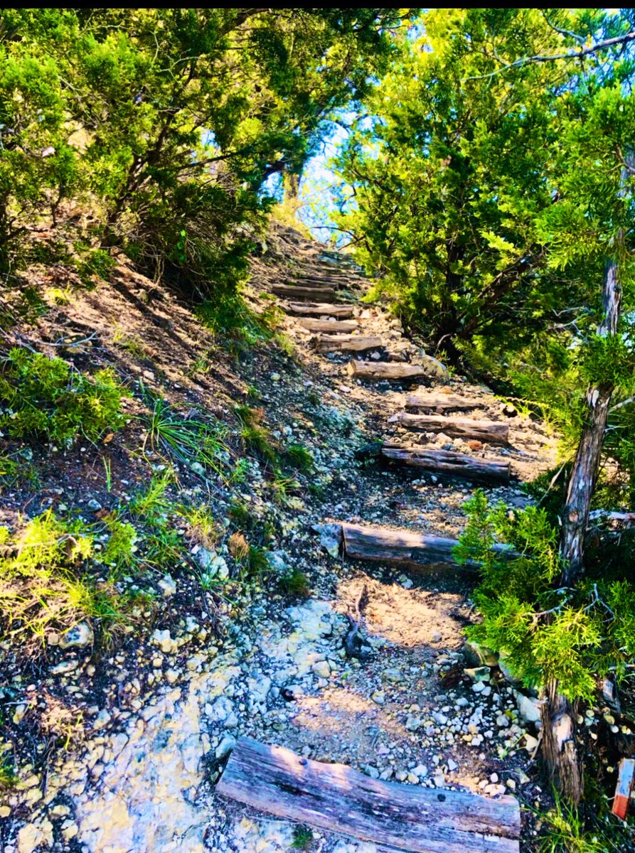 Sunkisses7676's tweet photo. Short hike today because it is so windy here 🌬 #TexasHillCountry #CrossMountain https://t.co/vn8vxUK7Qx