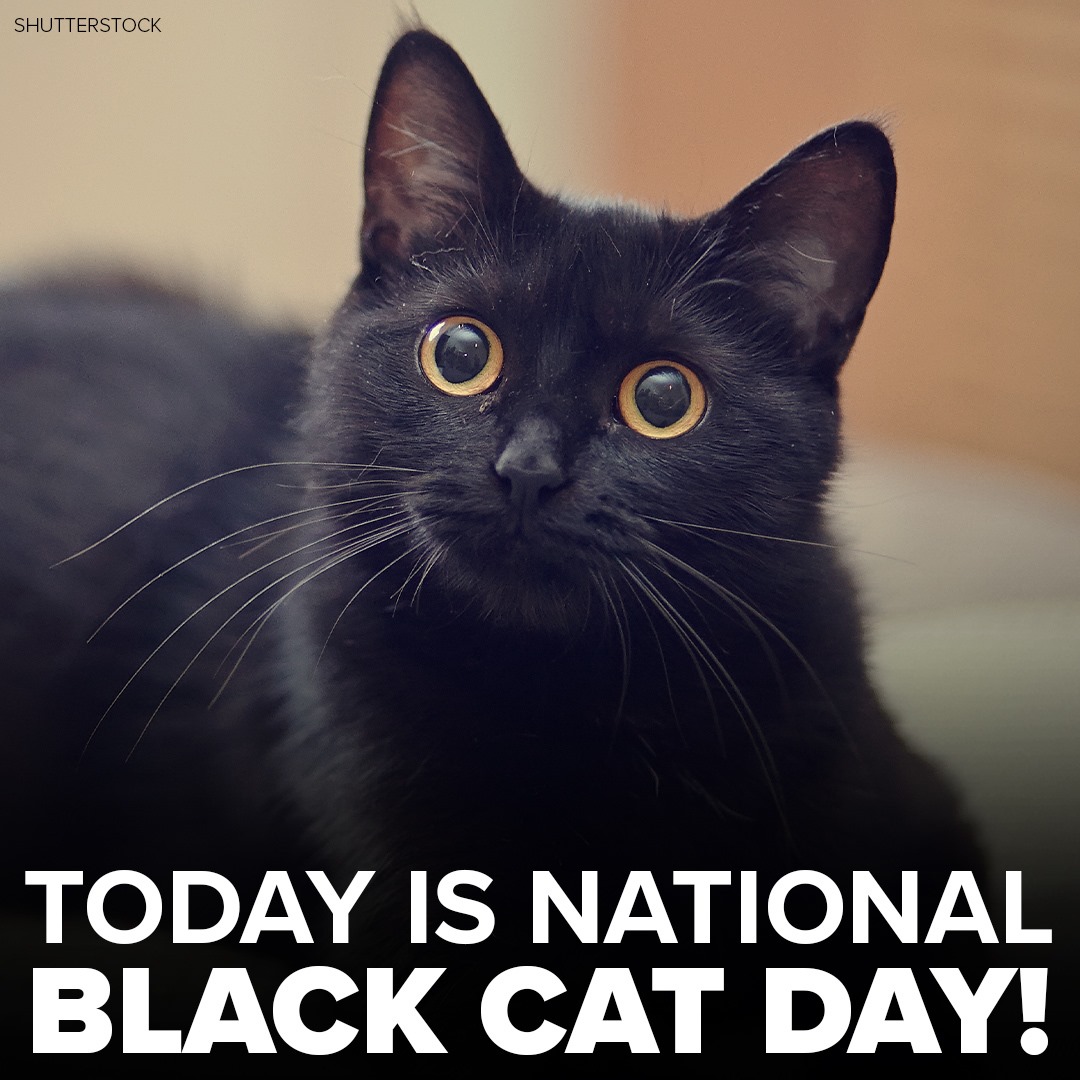 Johnny -- is fine tweet media