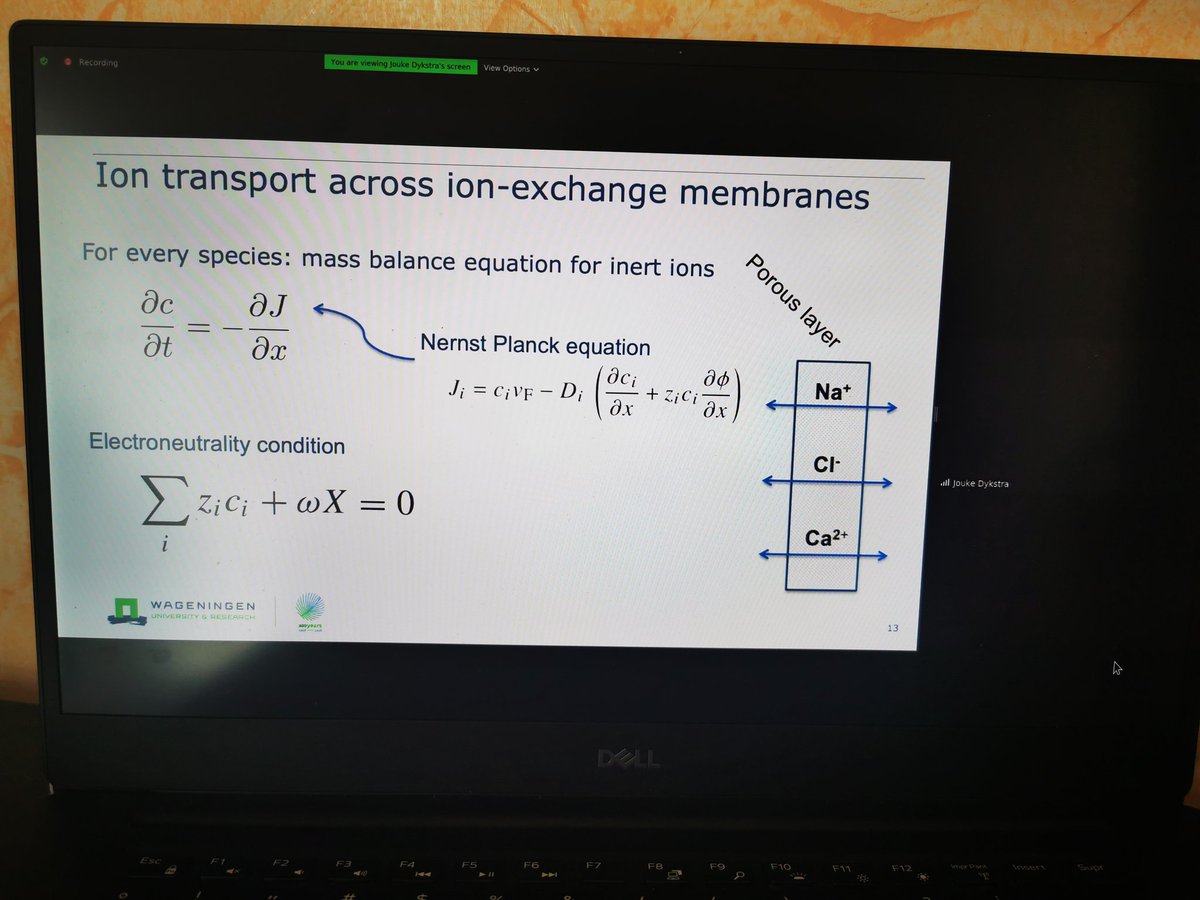 icstcf2020's tweet photo. Our invited speaker prof. Jouk Dykstra from @WUR talking about ion transport for environmental engineering during the 2nd session this morning https://t.co/9ugMZEZ2G5