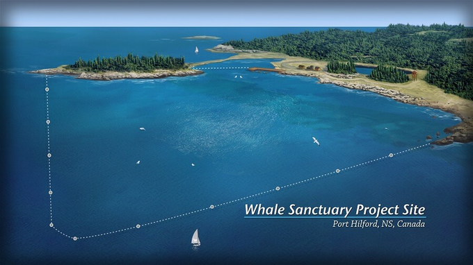 OrcaSOS's tweet photo. #expediachat Let's talk #destinations. DYK that u could make a huge difference w #NoTanksExpedia? Imagine public's goodwill if u support instead initiatives like @Whale_Sanctuary being built in #PortHilford #NS.
@ExpediaGroup @Expedia  Be the difference for KISKA @MarinelandCan🔄 https://t.co/JLElIvLvZ8