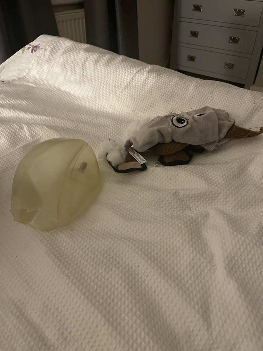 Dawn Hardwick tweet media