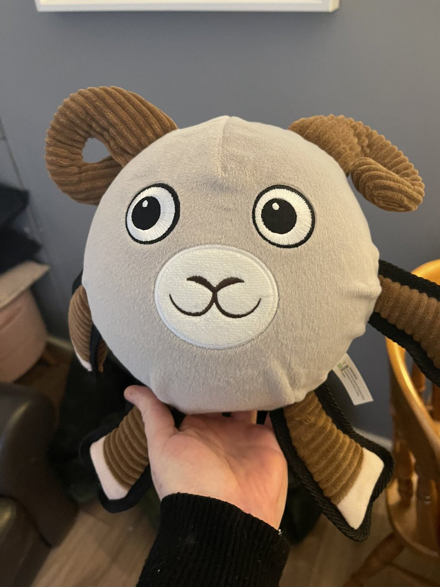 Dawn Hardwick tweet media