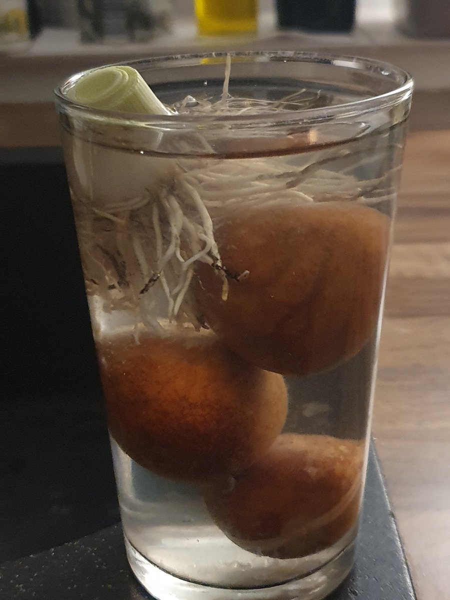 BettinaSRoss1's tweet photo. I feel I should point out that I am not, in fact, growing organs on the edge of the kitchen sink, but avocado stones and leek (before it gets planted tomorrow). Thank you for listening.
#Don'tPanic #ExperimentalKitchen https://t.co/uQdmBUlGpp
