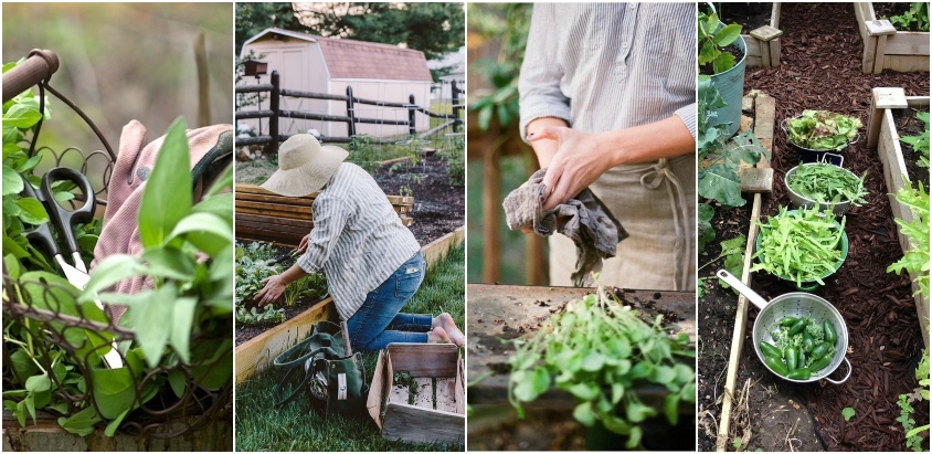 Idei_DIY's tweet photo. Cum pregatim gospodaria de iarna inca din toamna - Lucrari necesare - https://t.co/hptVagFd8H https://t.co/hCRU6rOmrP