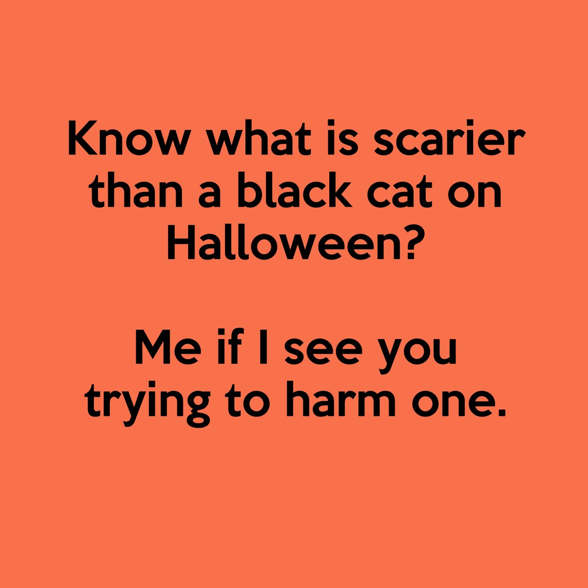 Cat Man Chris tweet media