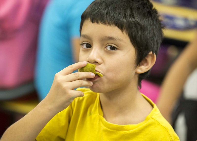 USDA_FNA's tweet photo. In this @USDA study, various methods were used to collect, process, and analyze data to examine nutritional characteristics of school meals. Find out more https://t.co/ru4pBJcGNP https://t.co/LZw7hDTdHD