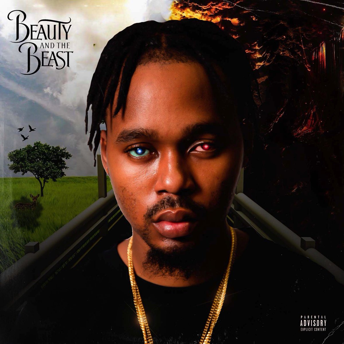 MELLOW DON PICASSO tweet media