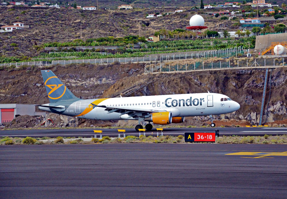 CabLaPalma tweet picture