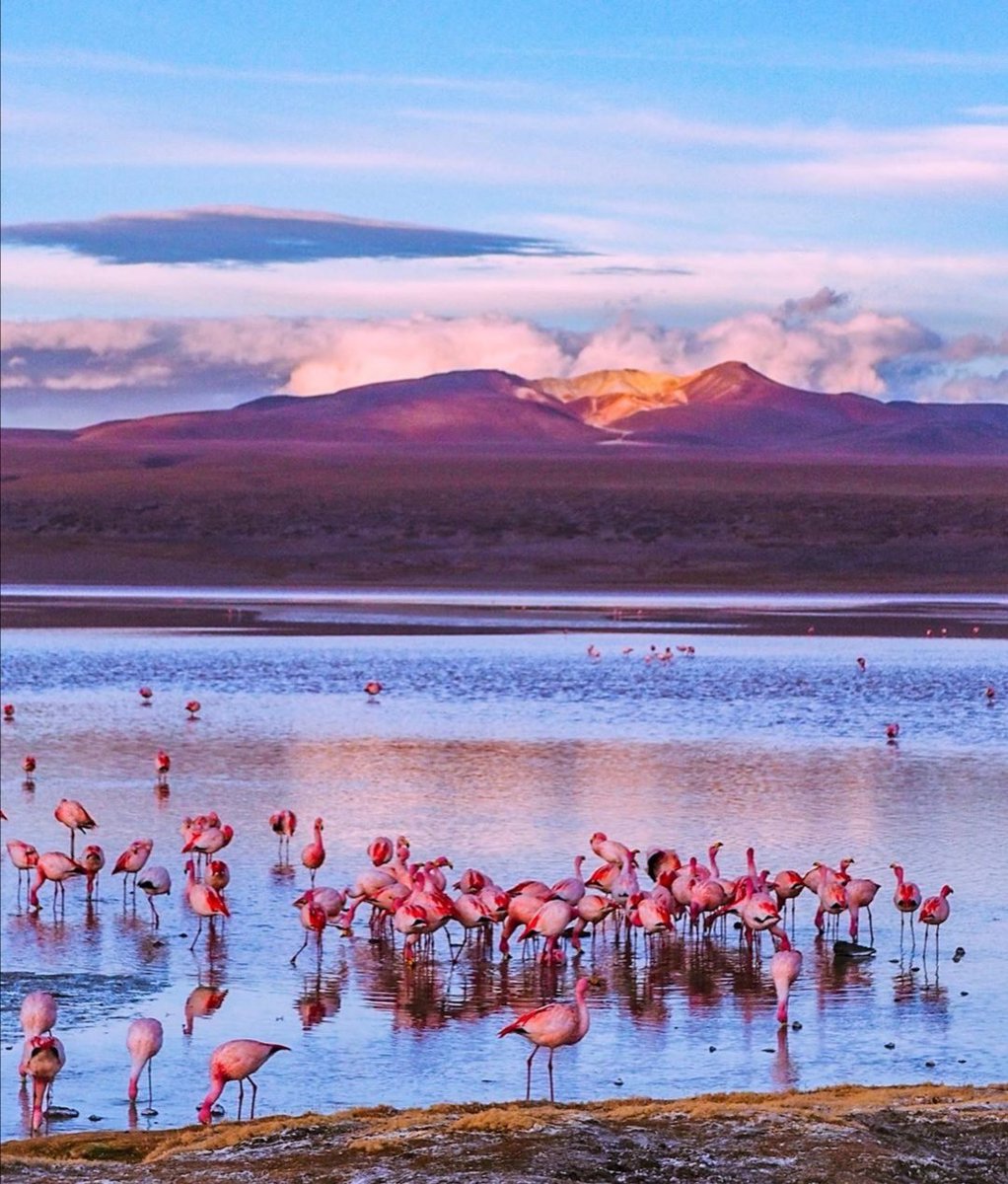 Uyuni Salt desert and its beautiful landscape in Bolivia 🇧🇴❤️💛💚💙