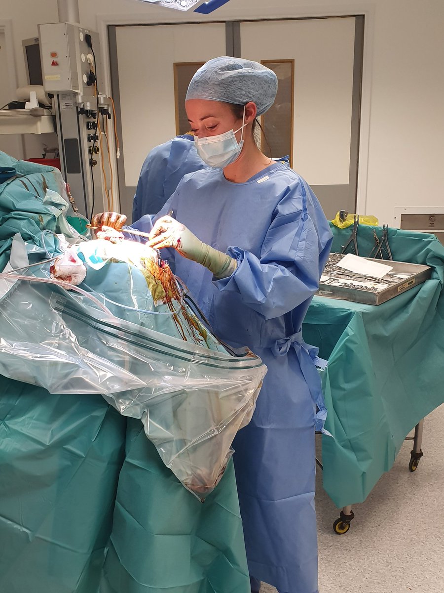 Anthony Ghosh MD FRCS tweet media