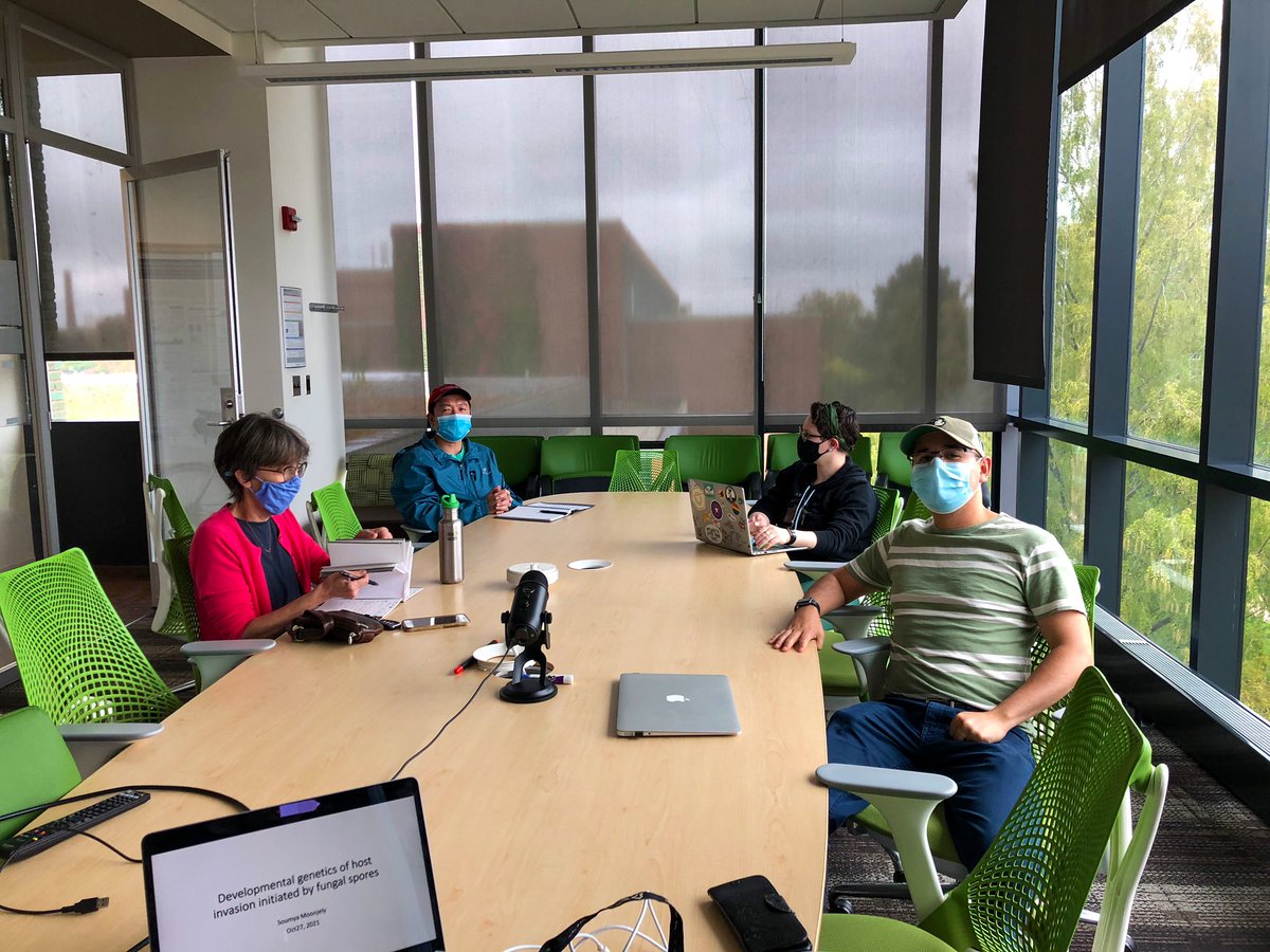 TheTrailLab's tweet image. In today’s lab meeting, Soumya Moonjely (one of our postdocs) gave an update on her project “Developmental genetics of host invasion initiated by fungal spores”