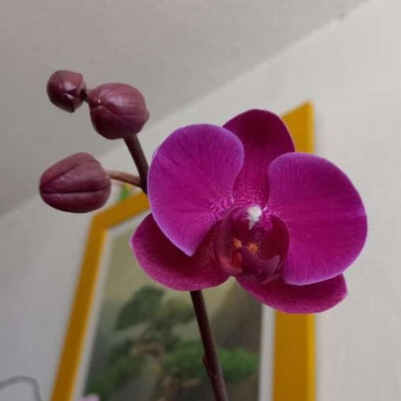 curious_boots's tweet photo. En esta casa abunda la inspiración! https://t.co/wwmQMg7YWs