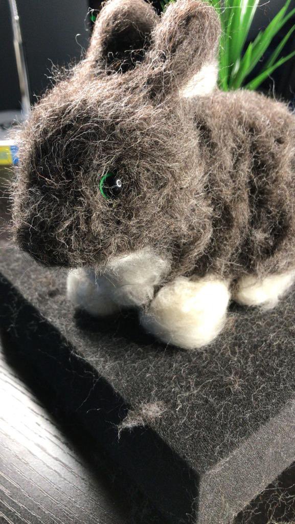 New video out!! DIY bunny made with felting! Follow the link below to check it out! 🐇

youtu.be/RNY20scgu9c

#DIY #Felt #Bunny #art #crafts