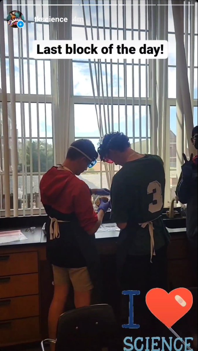 teach_me24's tweet image. SL Bio seniors did a heart dissection today to practice identifying heart structures! #tkscience #tkbio instagram.com/stories/_tksci…