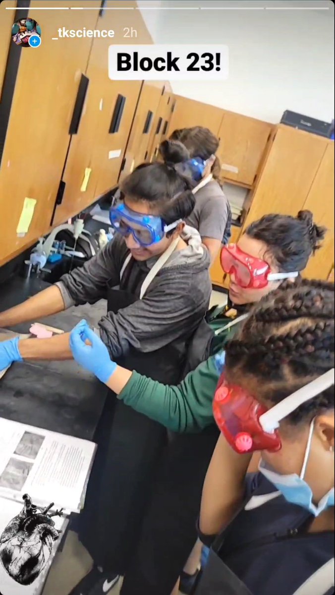 teach_me24's tweet image. SL Bio seniors did a heart dissection today to practice identifying heart structures! #tkscience #tkbio instagram.com/stories/_tksci…