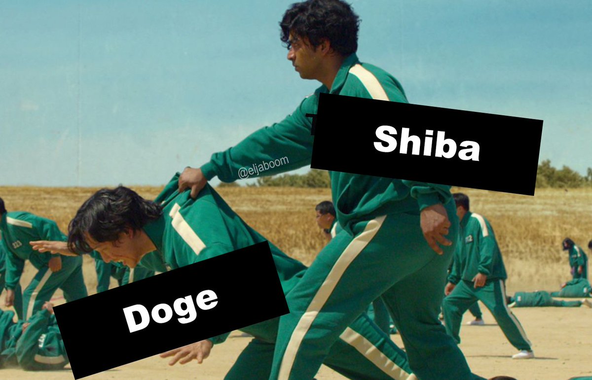 Congratulations to all $SHIB billionaires