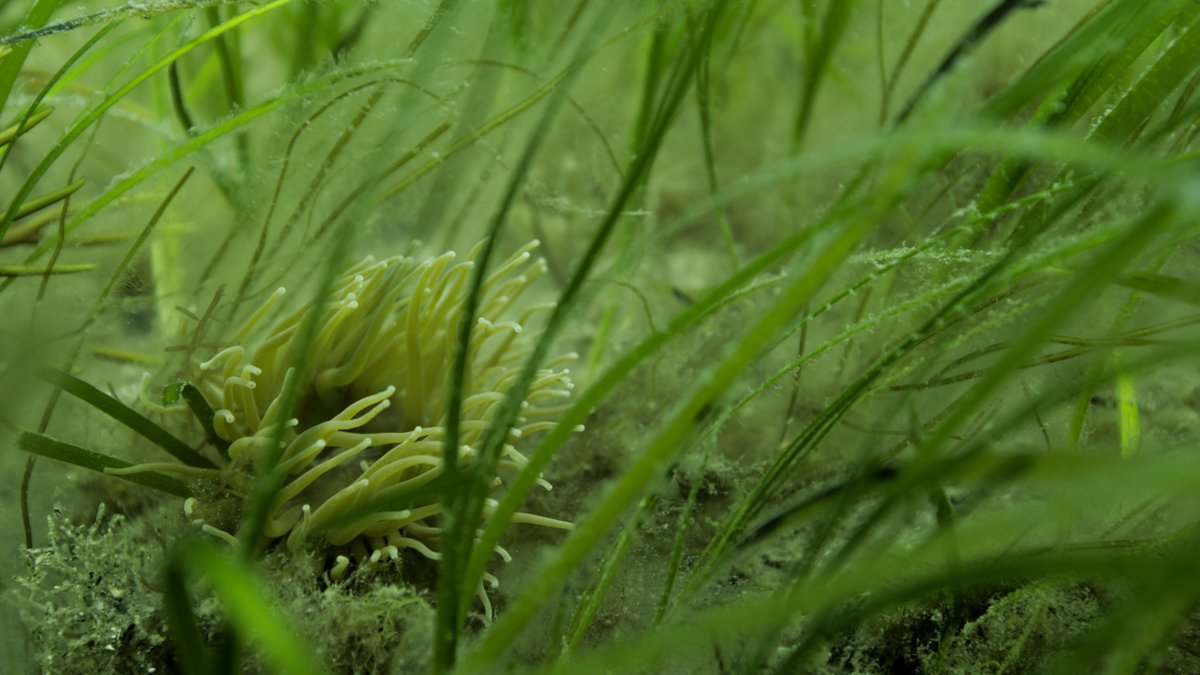 BBC Bitesize tweet media