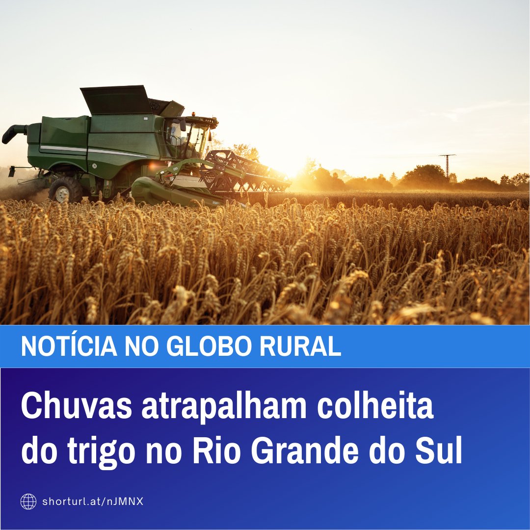 techduto's tweet image. Acompanhamos essa reportagem com enorme pesar, pois uma hora o produtor sofre com a seca e em outra com o excesso de umidade. 

#techduto #agro #drenagem #trigo #chuva #umidade #excessodeumidade #produtividade #agroetech #agricola #agricutura #rs #brasil