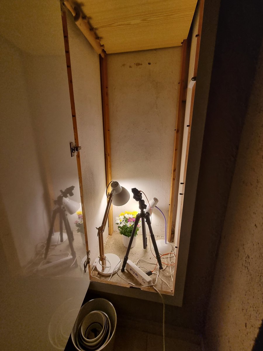 LetsLapse's tweet photo. And a little behind the scenes. https://t.co/fBa5TLJMVA