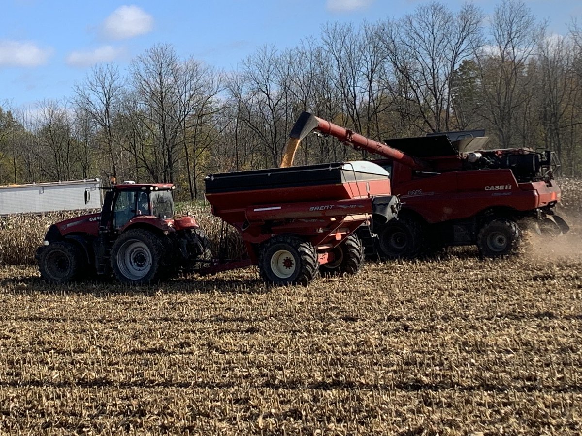 MLuyks's tweet photo. Hey the sun is shining! 😎 #ontag https://t.co/50RKQ8lH0R