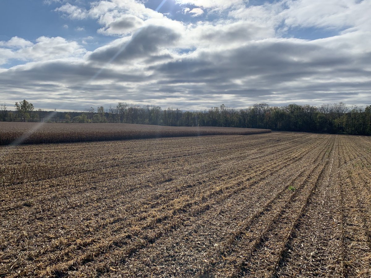 MLuyks's tweet photo. Hey the sun is shining! 😎 #ontag https://t.co/50RKQ8lH0R