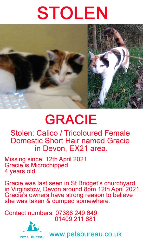 Pets Bureau tweet media