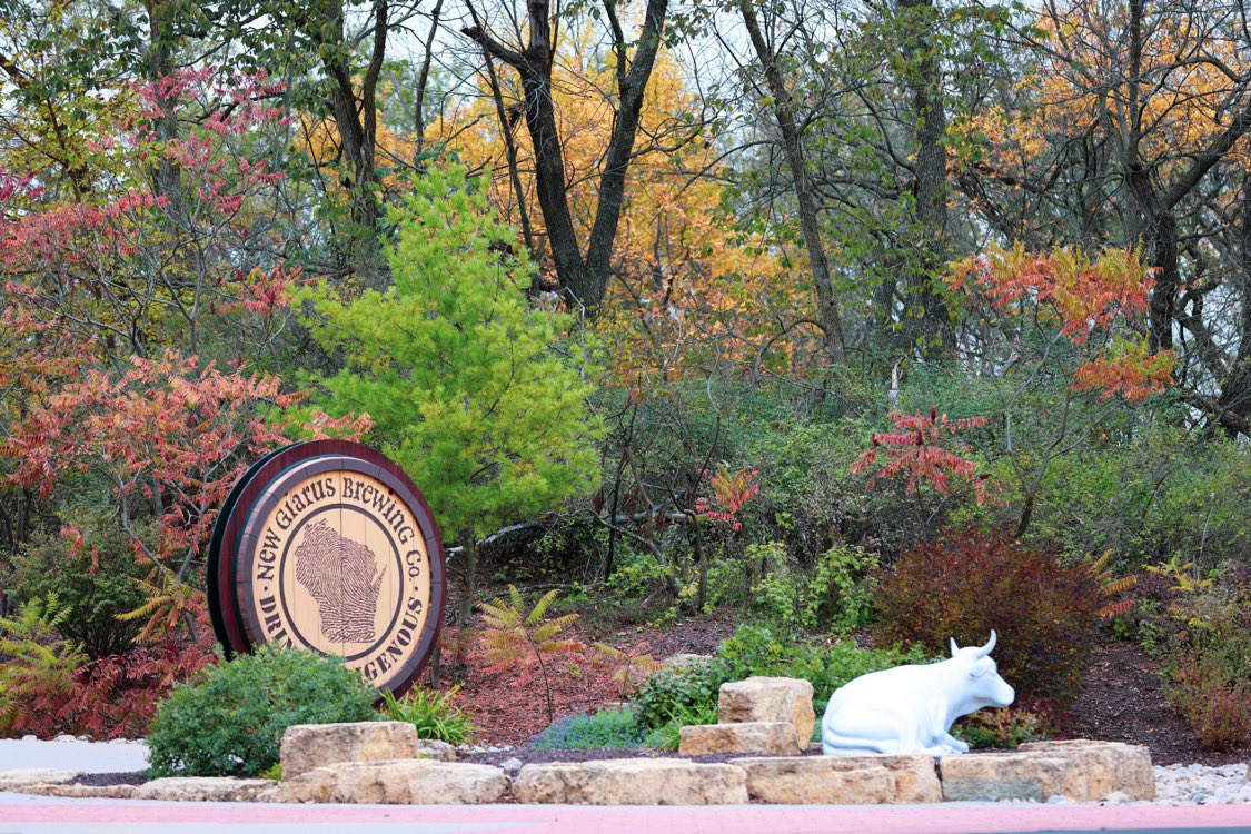 newglarusbrew's tweet photo. Fall in Love with Wisconsin… There is nothing like it! Just a reminder that our Giftshop and Tours are open to the public 10am-5pm Monday thru Friday. Cheers! 🍁🍻 #fall #fallinwisconsin  #SquirrelAwarenessMonth #WIBeerWednesday  #onlyinwisconsin https://t.co/iVdaQDlV7U