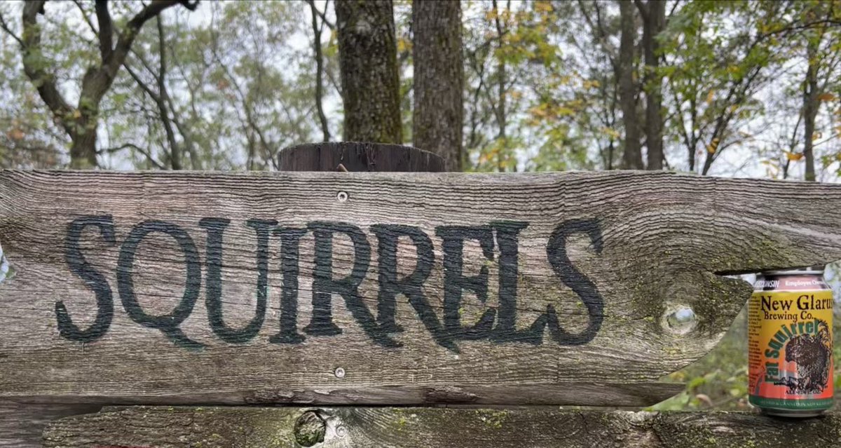 newglarusbrew's tweet photo. Fall in Love with Wisconsin… There is nothing like it! Just a reminder that our Giftshop and Tours are open to the public 10am-5pm Monday thru Friday. Cheers! 🍁🍻 #fall #fallinwisconsin  #SquirrelAwarenessMonth #WIBeerWednesday  #onlyinwisconsin https://t.co/iVdaQDlV7U