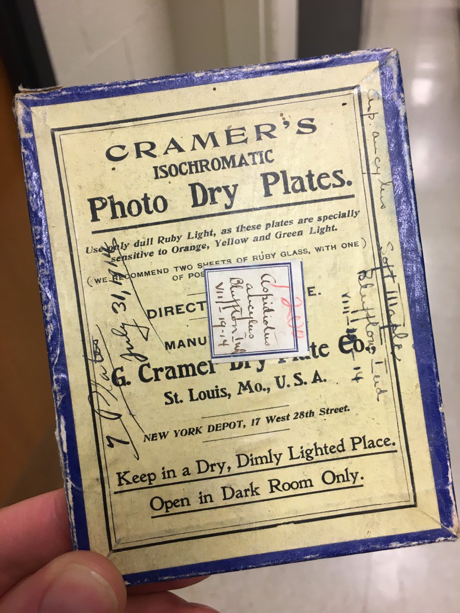 Chris Wirth tweet media