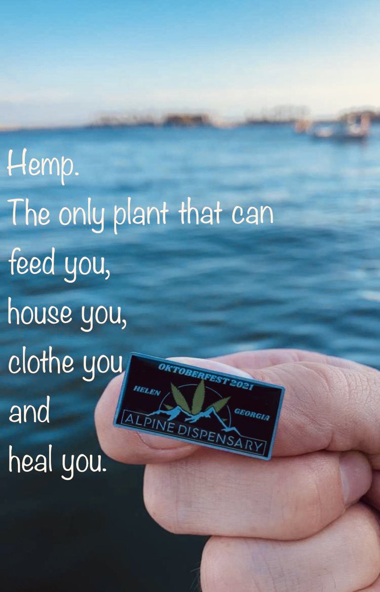 Alpine_Cannabis's tweet photo. Let the plant do it’s thing. 🤍 #StonerFam #Mmemberville #hemp #alpinedispensary #cannabisculture https://t.co/JFgXU3FmKk