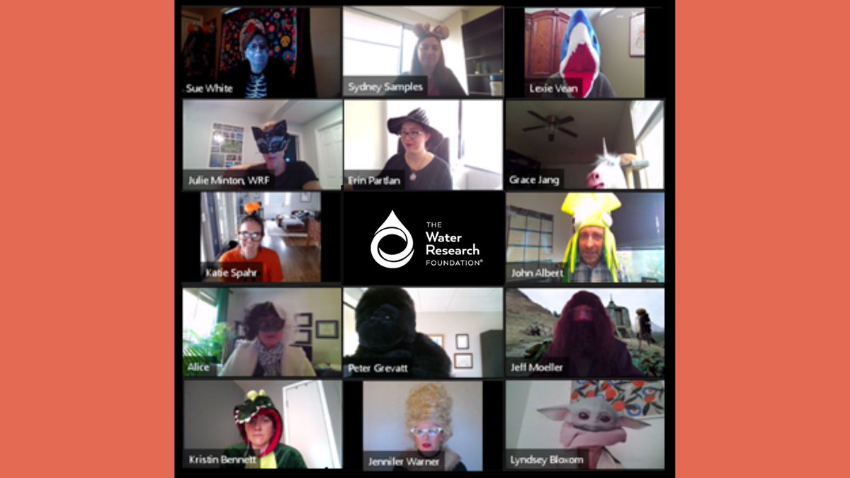 WaterResearch's tweet image. Is anyone going to address the 800-pound gorilla in the room? 🦍🦈🦑🦄🐊🧙💀🐈‍⬛ #researchisfun