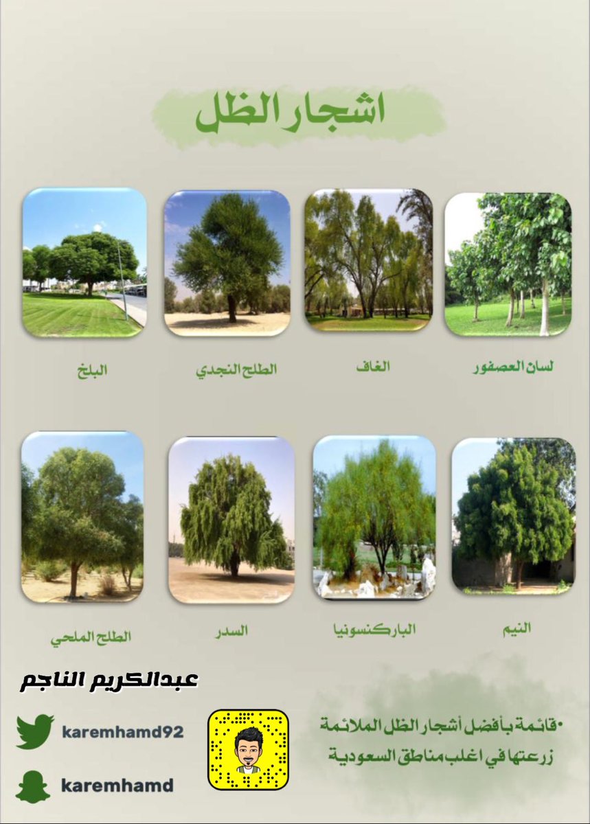 karemhamd92's tweet photo. •ودك تزرع حديقتك ولاتعرف الاشجار المناسبة !؟

• الموضوع بسيط !

هنا جمعت لكم بعض الاشجار والشجيرات والمتسلقات الملائمة والناجحه زراعتها بمعظم مناطق #السعودية من أشجار الظل والشجيرات المزهرة والمتسلقات🍃

{ أتمنى أن تنال على إجابكم }

• أحفظها عندك 👍

#لنجعلها_خضراء 🌿 https://t.co/MMrHaZi37H