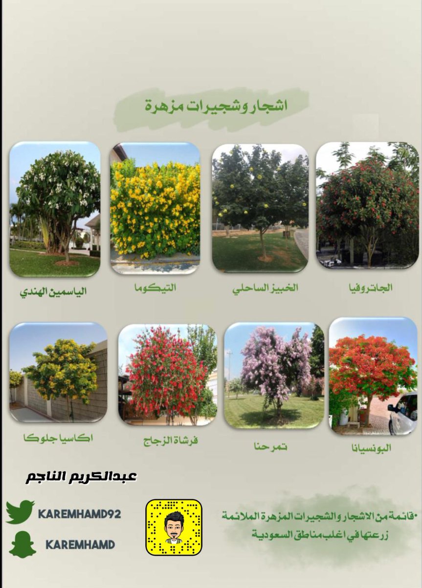 karemhamd92's tweet photo. •ودك تزرع حديقتك ولاتعرف الاشجار المناسبة !؟

• الموضوع بسيط !

هنا جمعت لكم بعض الاشجار والشجيرات والمتسلقات الملائمة والناجحه زراعتها بمعظم مناطق #السعودية من أشجار الظل والشجيرات المزهرة والمتسلقات🍃

{ أتمنى أن تنال على إجابكم }

• أحفظها عندك 👍

#لنجعلها_خضراء 🌿 https://t.co/MMrHaZi37H