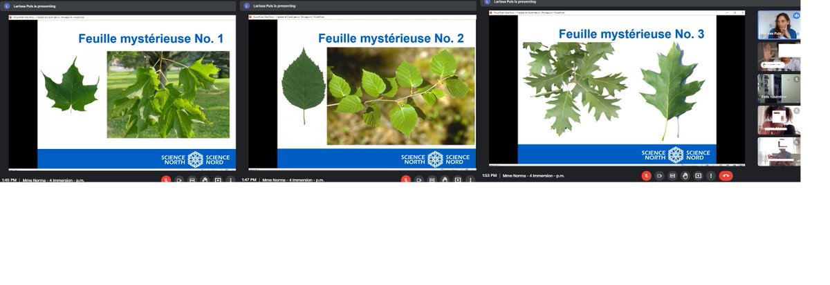 NormaKh1's tweet photo. Suite- Les élèves de 4e année immersion étaient tellement chanceux d’avoir une présentation aujourd’hui avec Science Nord sur les habitats mais surtout sur les classifications des plantes. 
@CarloOCSB
#carloBeCommunity https://t.co/5f3OvG7mia