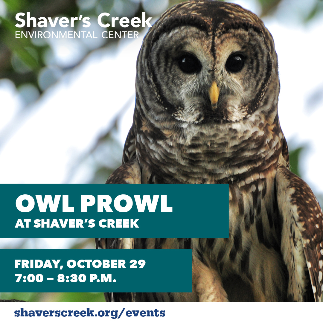 Join us at Shaver's Creek for the Fall Owl Prowl. Head outdoors to call for owls in the wild — with some luck and effective listening, the owls may call back!
To register, visit: shaverscreek.org/public.../fall…