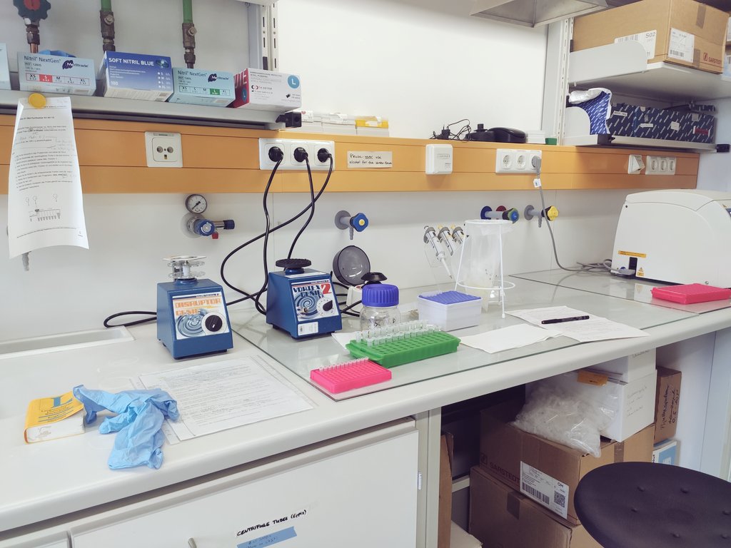 Sofi_Capasso's tweet photo. Doing some research in Germany now 🇩🇪 looking for haemosporidians parasites in non-breading Common Terns from Punta Rasa, Argentina 🇦🇷✌🏽 Learning about molecular techniques, with very good preliminary results🤓
@jlugiessen @DAAD_Germany @ArgentinaDaad @WiParasitology https://t.co/jWwOVSFmGN