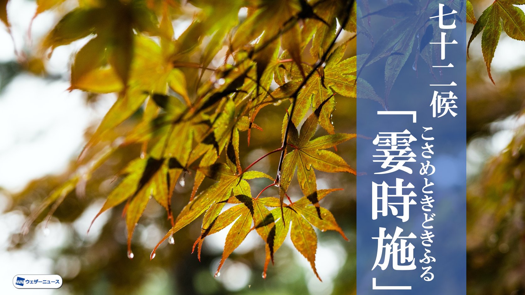 ウェザーニュース 七十二候 霎時施 一雨ごとに季節前進 今日10月28日 水 からは七十二候 霎時施 こさめときどきふる です 秋といえば 変わりやすい天気の印象がありますね 今回はそんな小雨や時雨にまつわるお話を紹介します T Co