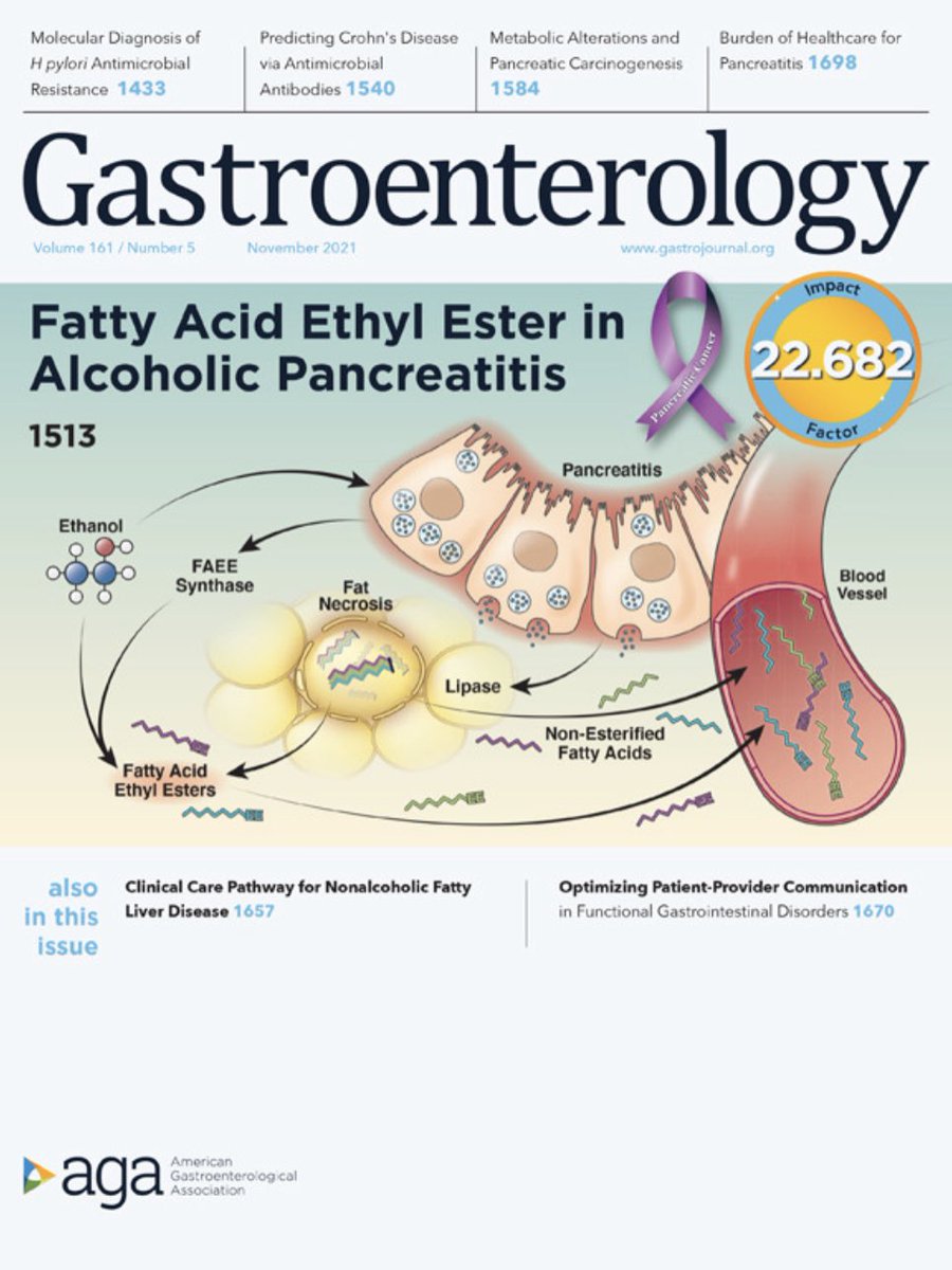 Clinical Management of #Pancreatic #Premalignant Lesions 🍇 by <a href="/ksoreide/">Kjetil Søreide</a> on <a href="/AGA_Gastro/">Gastroenterology</a> 

🔎 Predictive value for early detection of premalignant lesions ⬇️

☢️ Widespread use of CT and MRI scans have ⬆️ incidentally discovered lesions

🆓 full text

gastrojournal.org/article/S0016-…