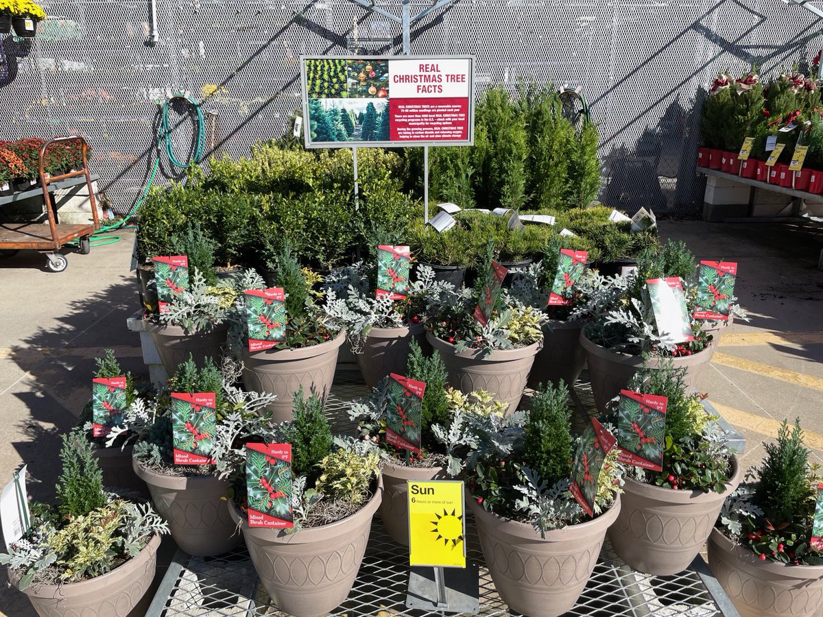 Lorrie Gallimore tweet media