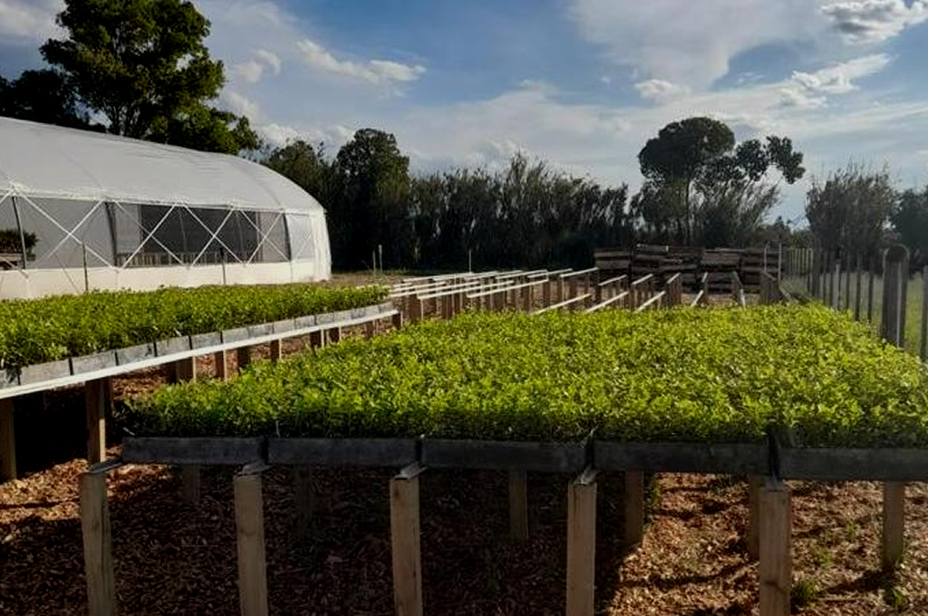 Cursos UTU y UPM Forestal Oriental para capacitación en vivero forestal en Sarandí del Yí | bit.ly/3jJfNmy