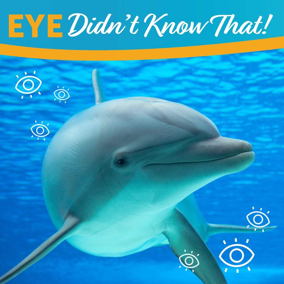 Midwest Eye Consultants tweet media