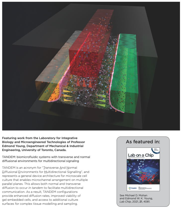 michaeldmohan's tweet photo. Check out our latest multiplanar microfluidic architecture called TANDEM, recently published and featured on the back cover of @LabonaChip.
https://t.co/CX1k20ZPAk https://t.co/iU34KjKbCN