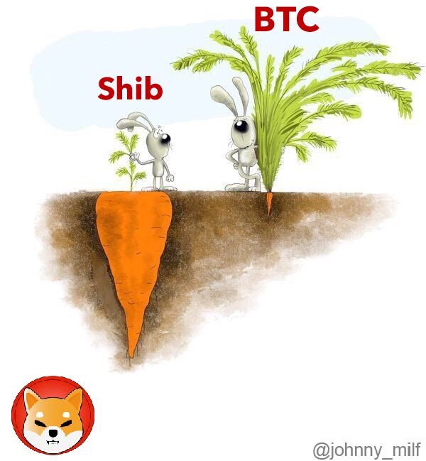gurrko51's tweet image. Never underestimate the #SHIBARMY !!! We will shock the whole world!!! 1$ soon!! $shib