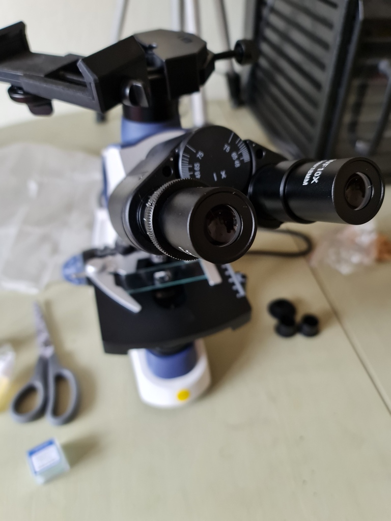 gatheringnature's tweet photo. Learning always excites me and love the fact we are always learning. 
Now I can get into the microscopic detail of fungi and plants. https://t.co/QDAFwvTTcN